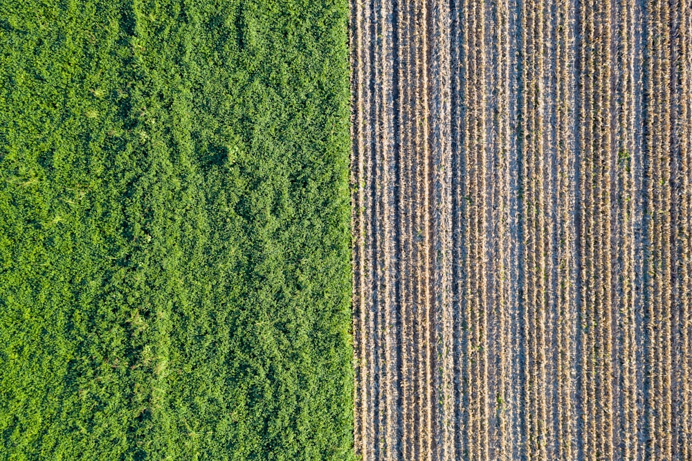 green and brown stripe textile