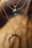 A close-up of two necklaces made of gold chains. One necklace has a blue, hexagonal gemstone pendant, and the other has a golden crescent moon pendant with small gemstones embedded in it. The background is softly blurred with warm, earthy tones.