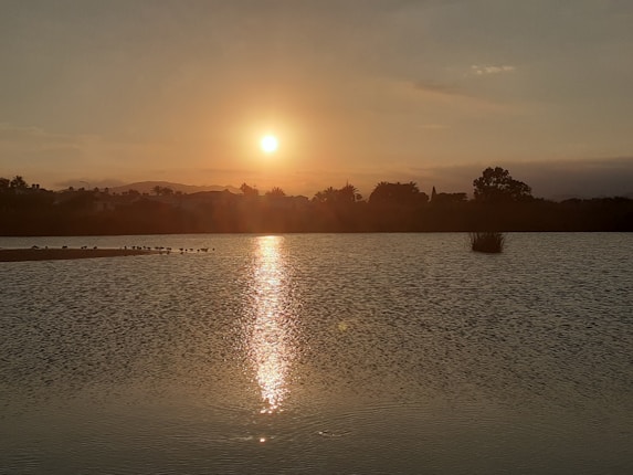 A serene sunset over a calm lake, with the sun casting a golden reflection on the water. Silhouettes of trees and low mountains are visible in the background, and a small cluster of birds is perched on a distant sandbar.