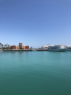 A serene waterfront scene with clear blue skies and turquoise waters. On one side, there are two buildings with orange and brown hues, featuring distinct architectural designs. A row of palm trees lines the promenade. On the water, several luxury yachts are docked at the marina.