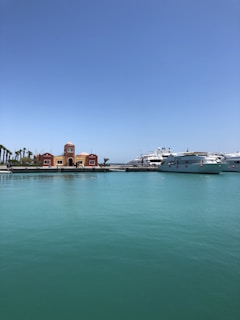 A serene waterfront scene with clear blue skies and turquoise waters. On one side, there are two buildings with orange and brown hues, featuring distinct architectural designs. A row of palm trees lines the promenade. On the water, several luxury yachts are docked at the marina.