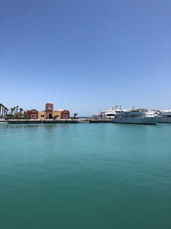 A serene waterfront scene with clear blue skies and turquoise waters. On one side, there are two buildings with orange and brown hues, featuring distinct architectural designs. A row of palm trees lines the promenade. On the water, several luxury yachts are docked at the marina.
