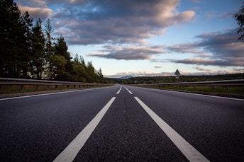 gray concrete road between green trees under gray clouds