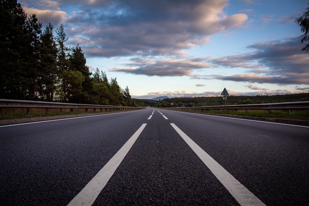 graue Betonstraße zwischen grünen Bäumen unter grauen Wolken