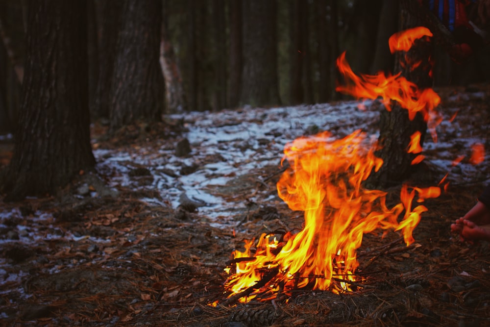 fire on ground during daytime