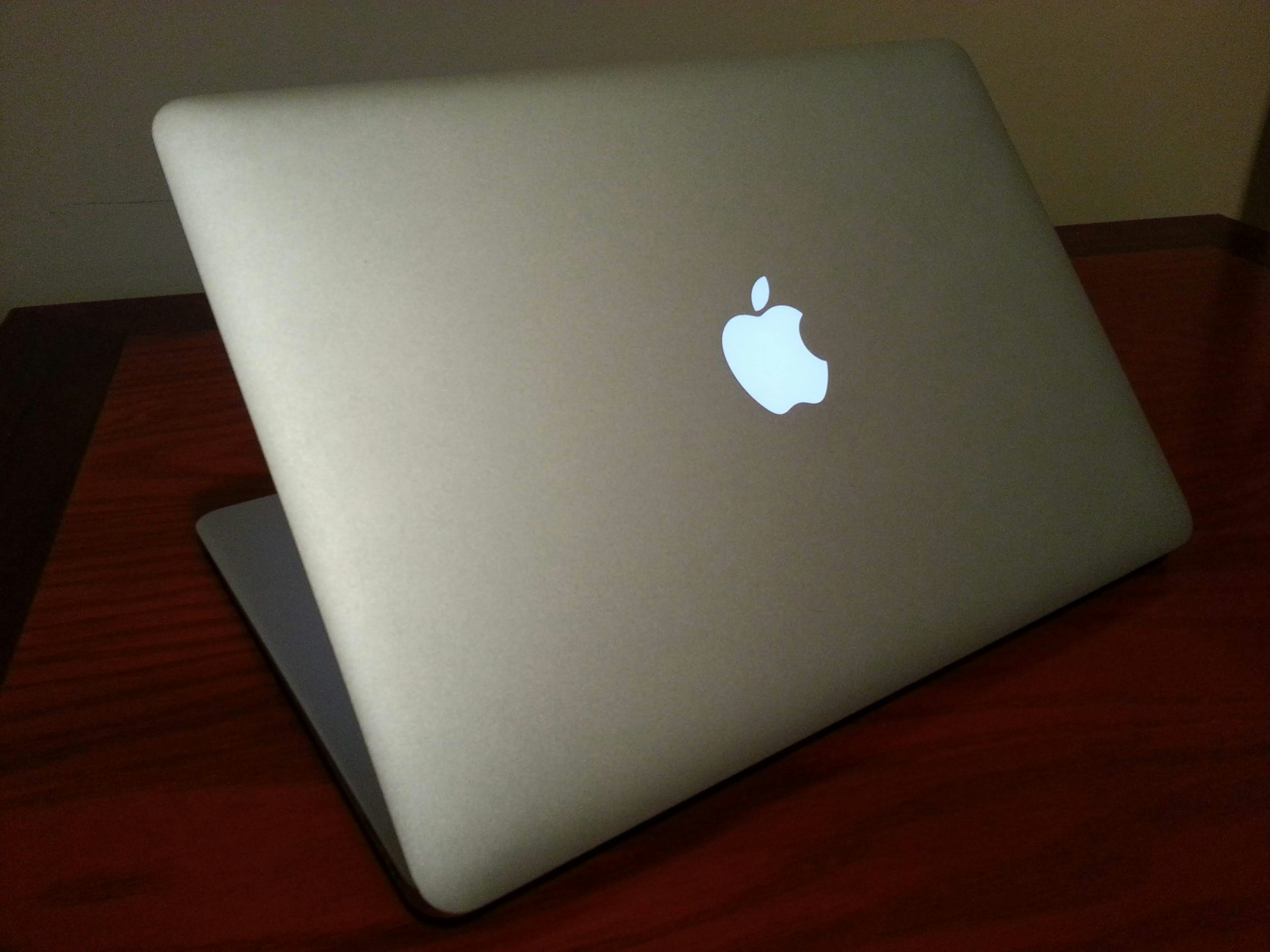 woman holding dried flower