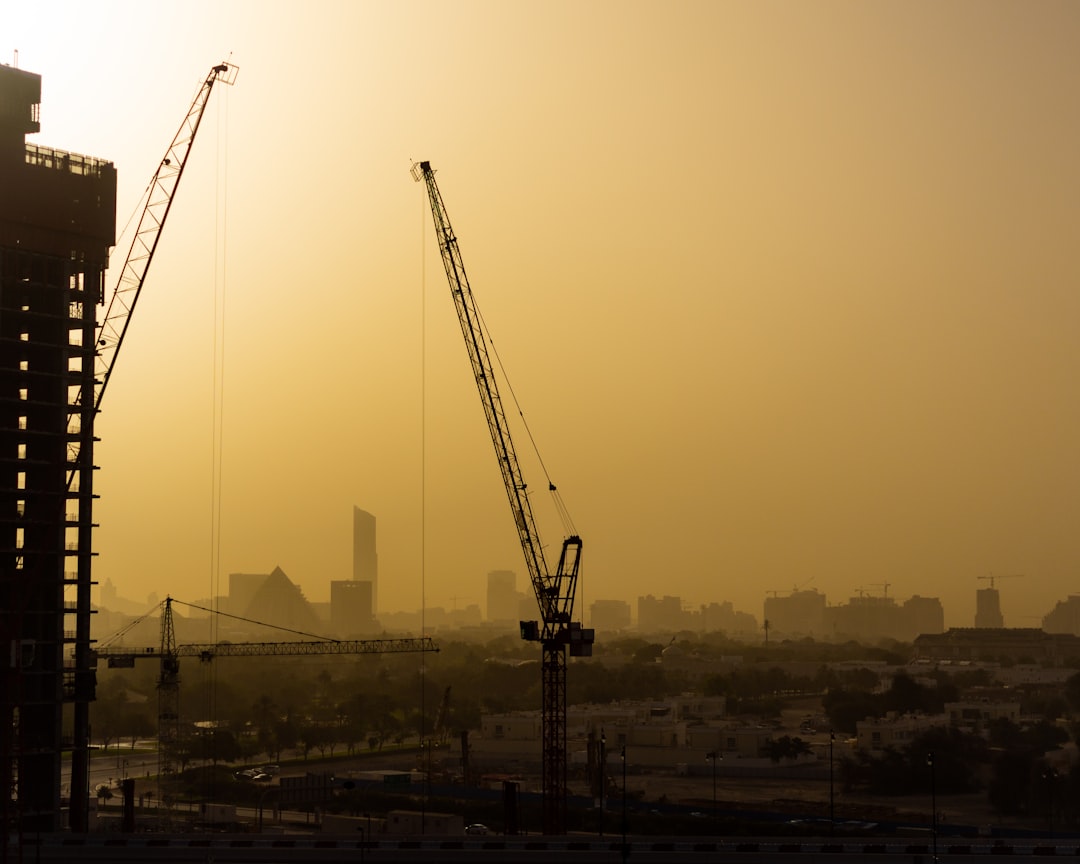 silhouette of crane during sunset, Silhouettes of cranes against city skyline