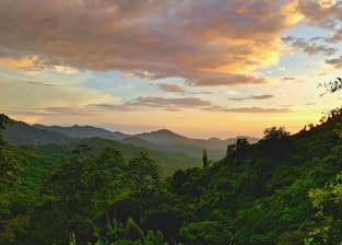 green trees and mountains during sunset