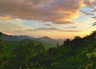 green trees and mountains during sunset