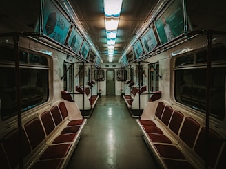 brown and white train interior