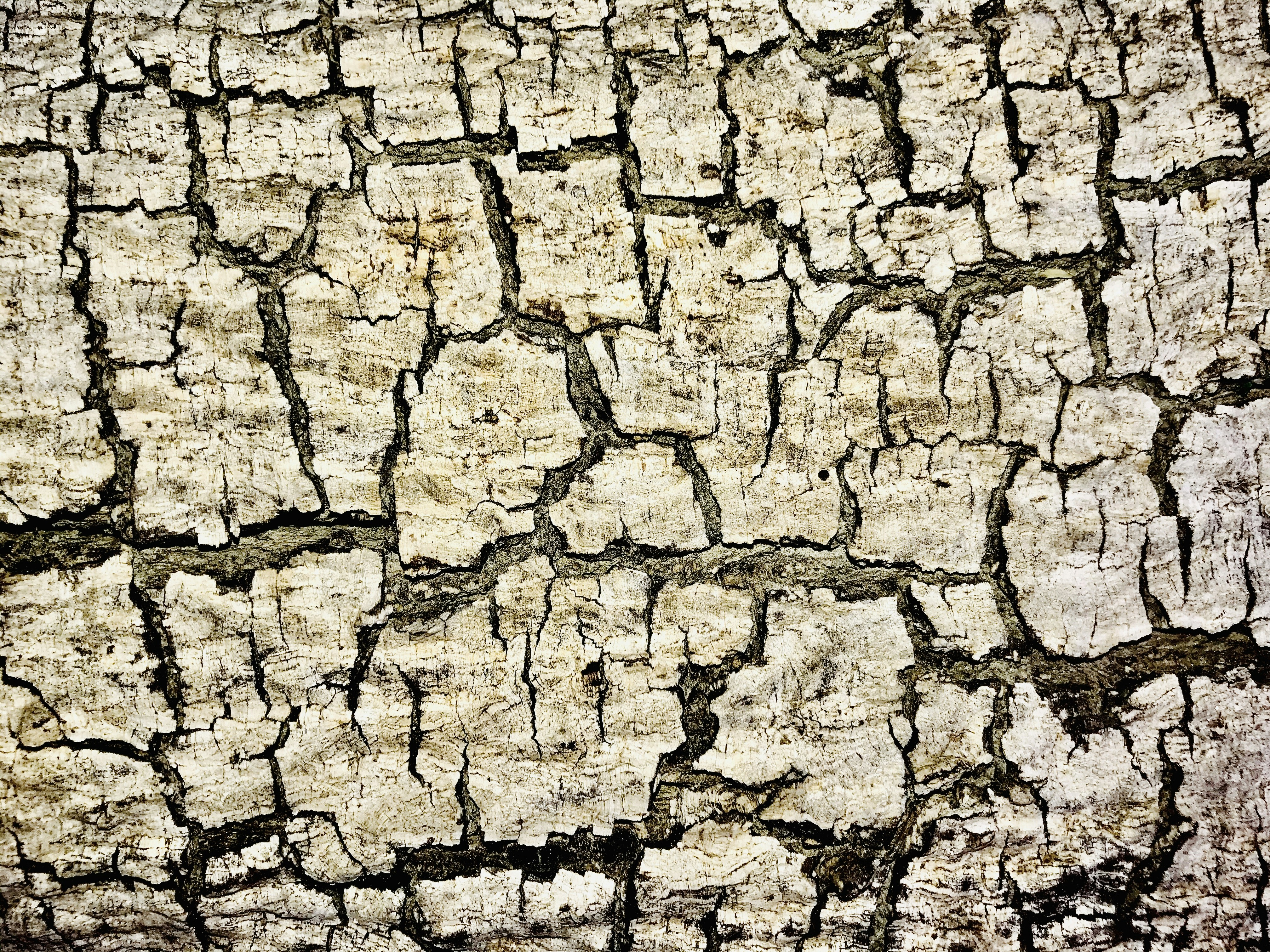 Photo by abdullaarya