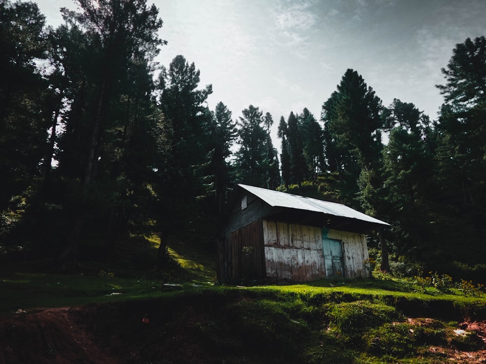 brown wooden house in the middle of forest