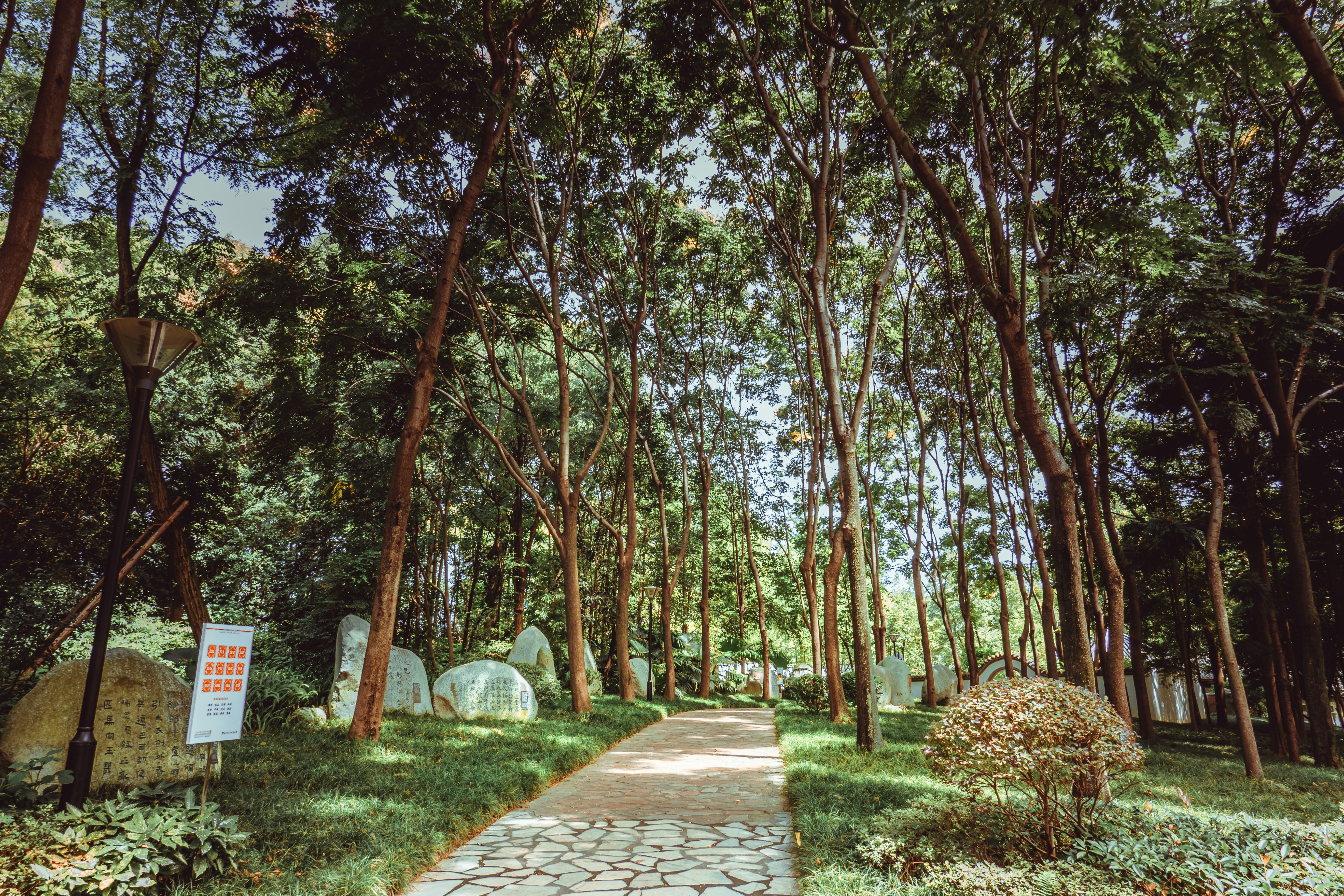 Photo by weweclub_wewe