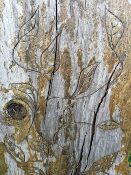 Engravings of leaves and vines on a weathered, cracked wooden surface. The wood displays a mixture of earthy tones, with visible textures and grain patterns.