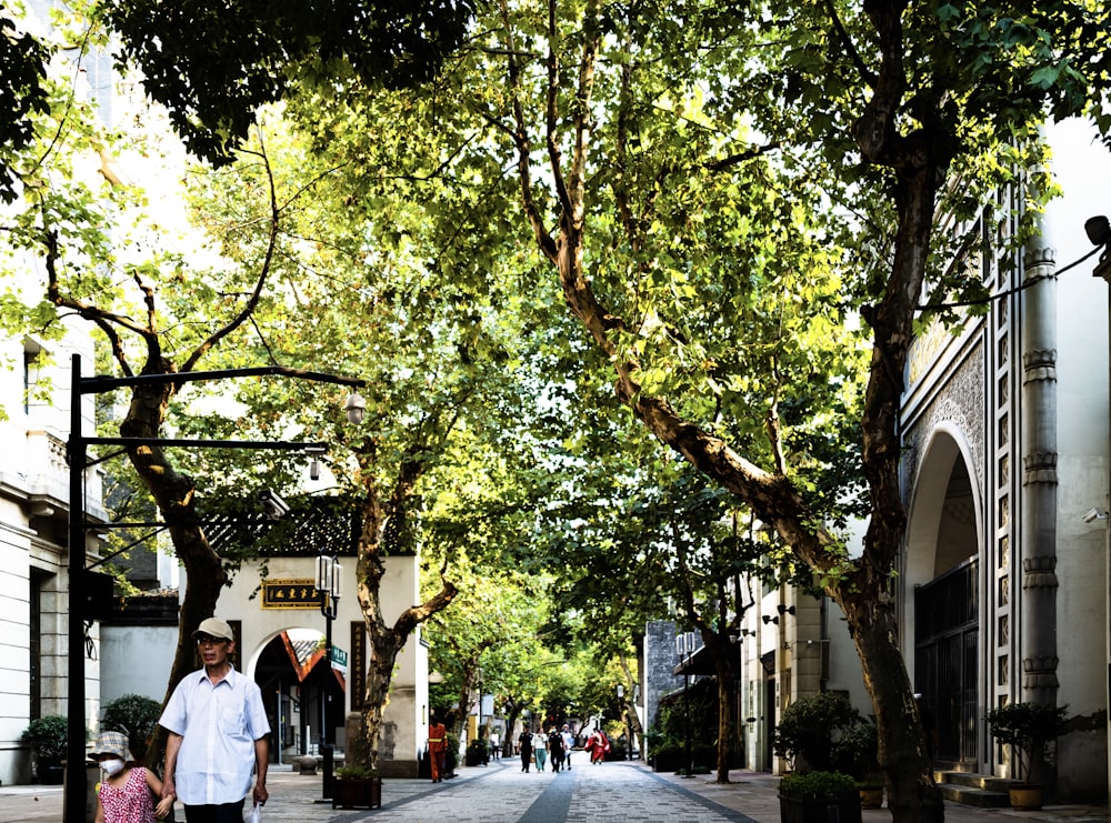 people walking on sidewalk near green trees during daytime