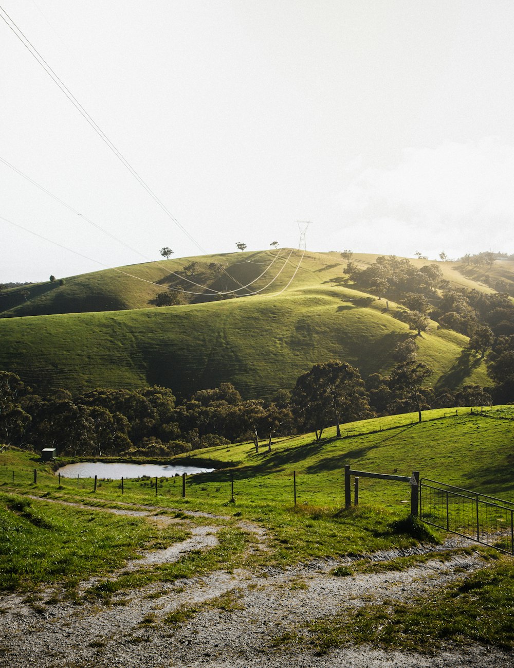 green grass field on hill under white sky during daytime