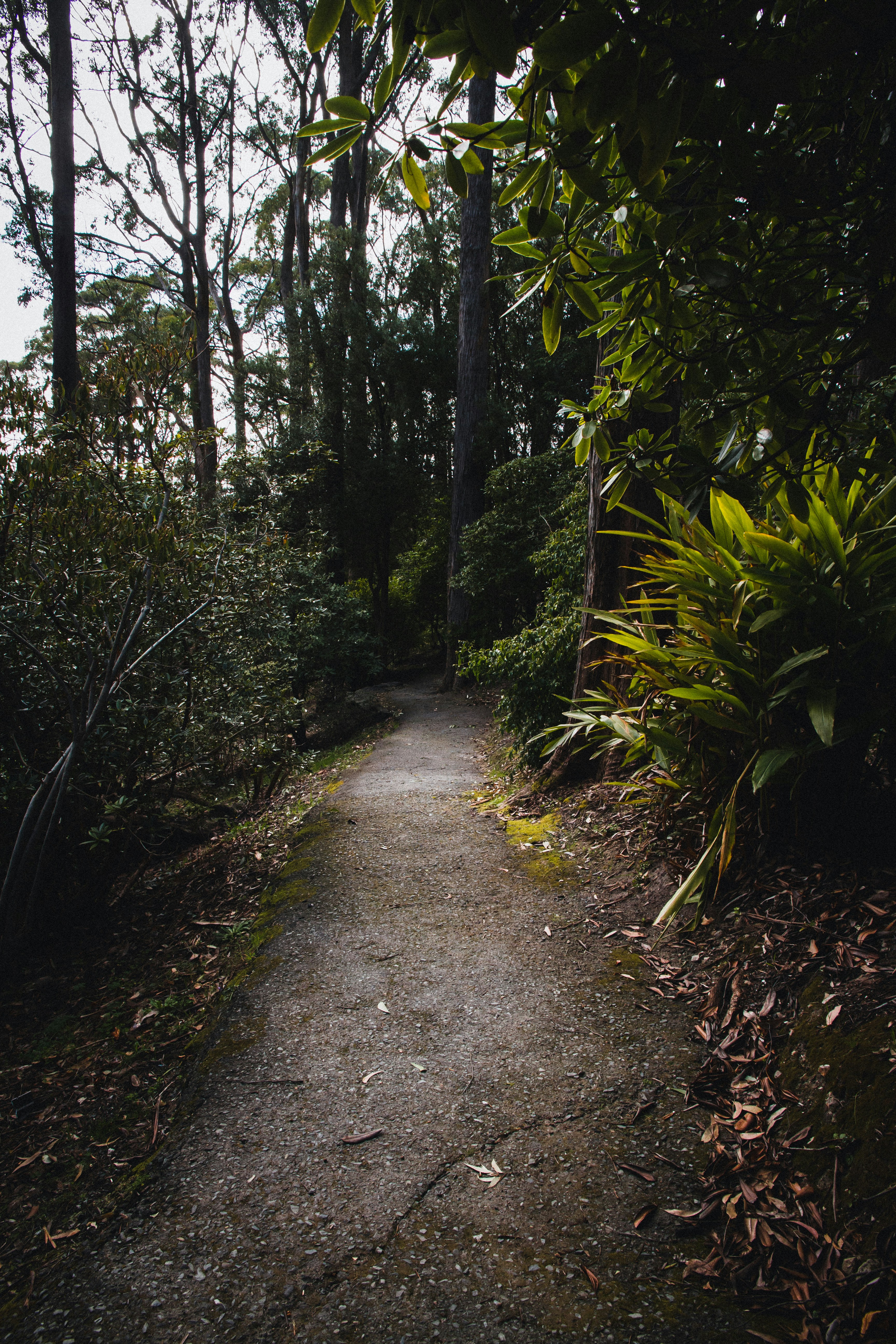 Photo by apollophotog