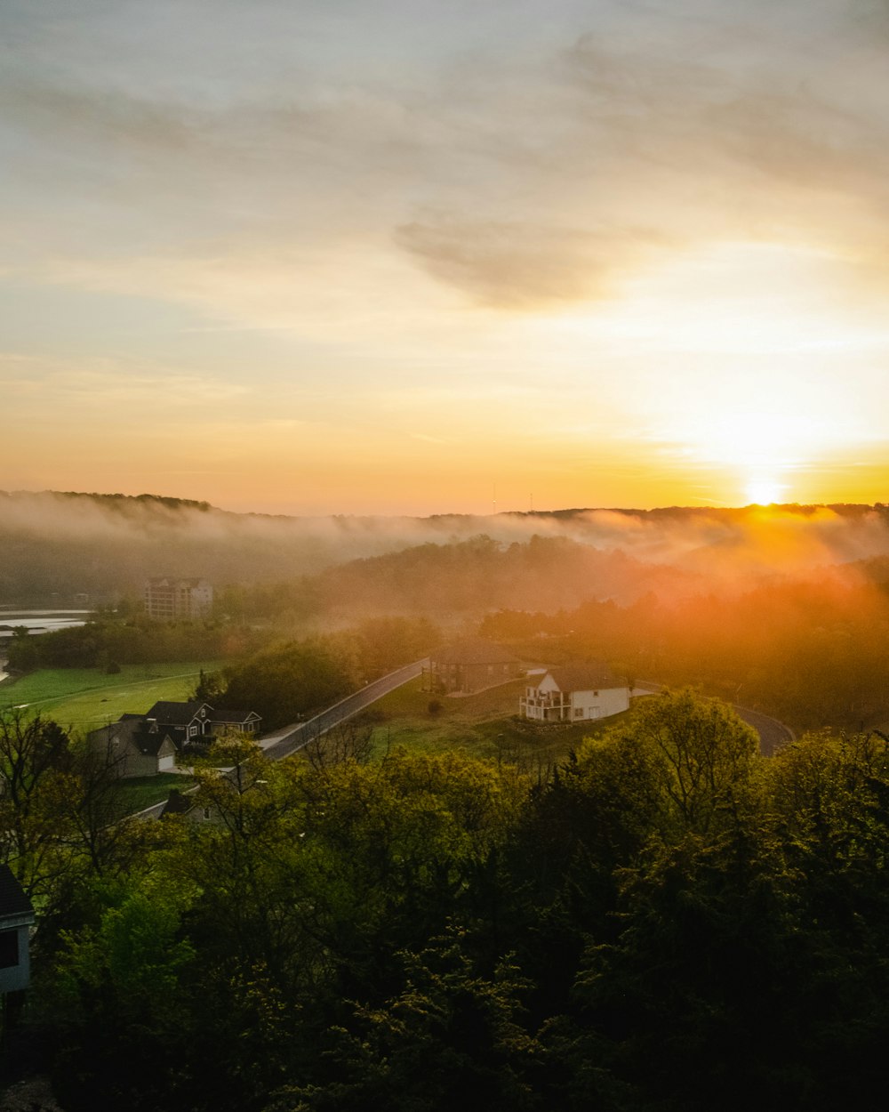 Grüne Bäume und Berge bei Sonnenuntergang