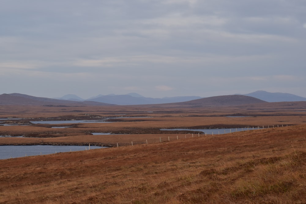 brown grass field near body of water during daytime