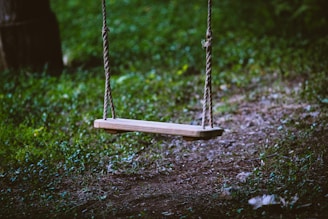 brown wooden swing on green grass during daytime