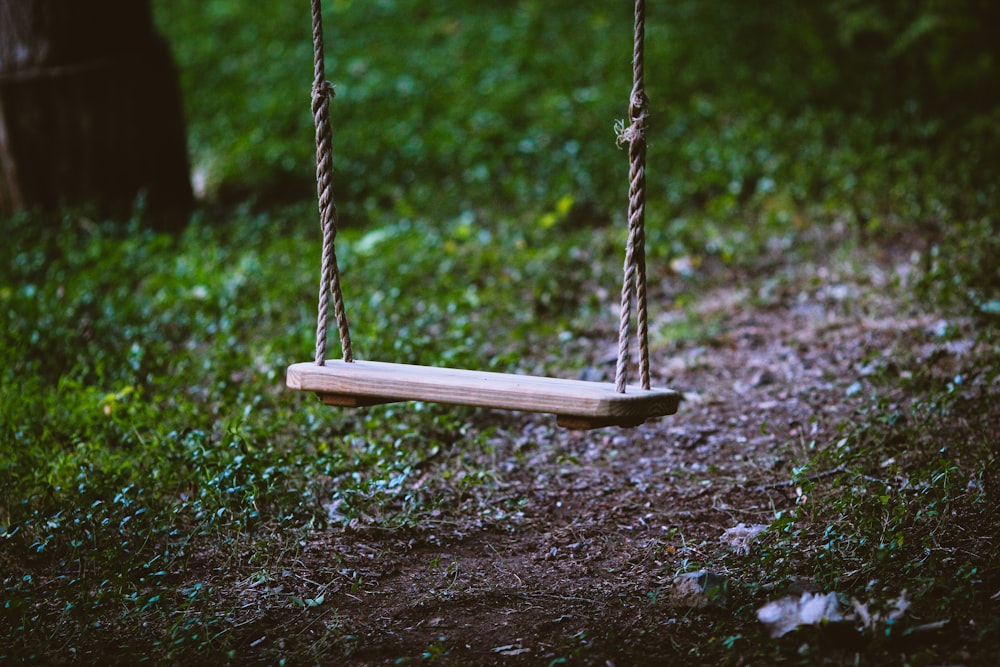 brown wooden swing on green grass during daytime