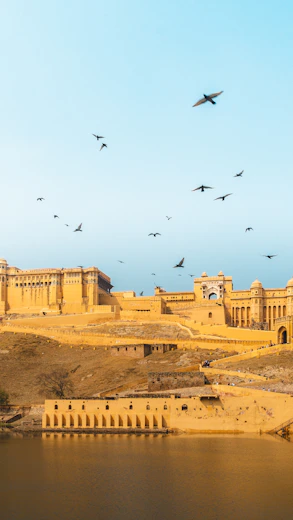 Amber Fort Jaipur Rajasthan