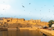 birds flying over river during daytime