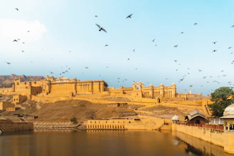 birds flying over river during daytime