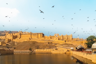 birds flying over river during daytime