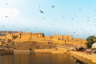 birds flying over river during daytime