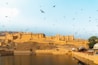 birds flying over river during daytime