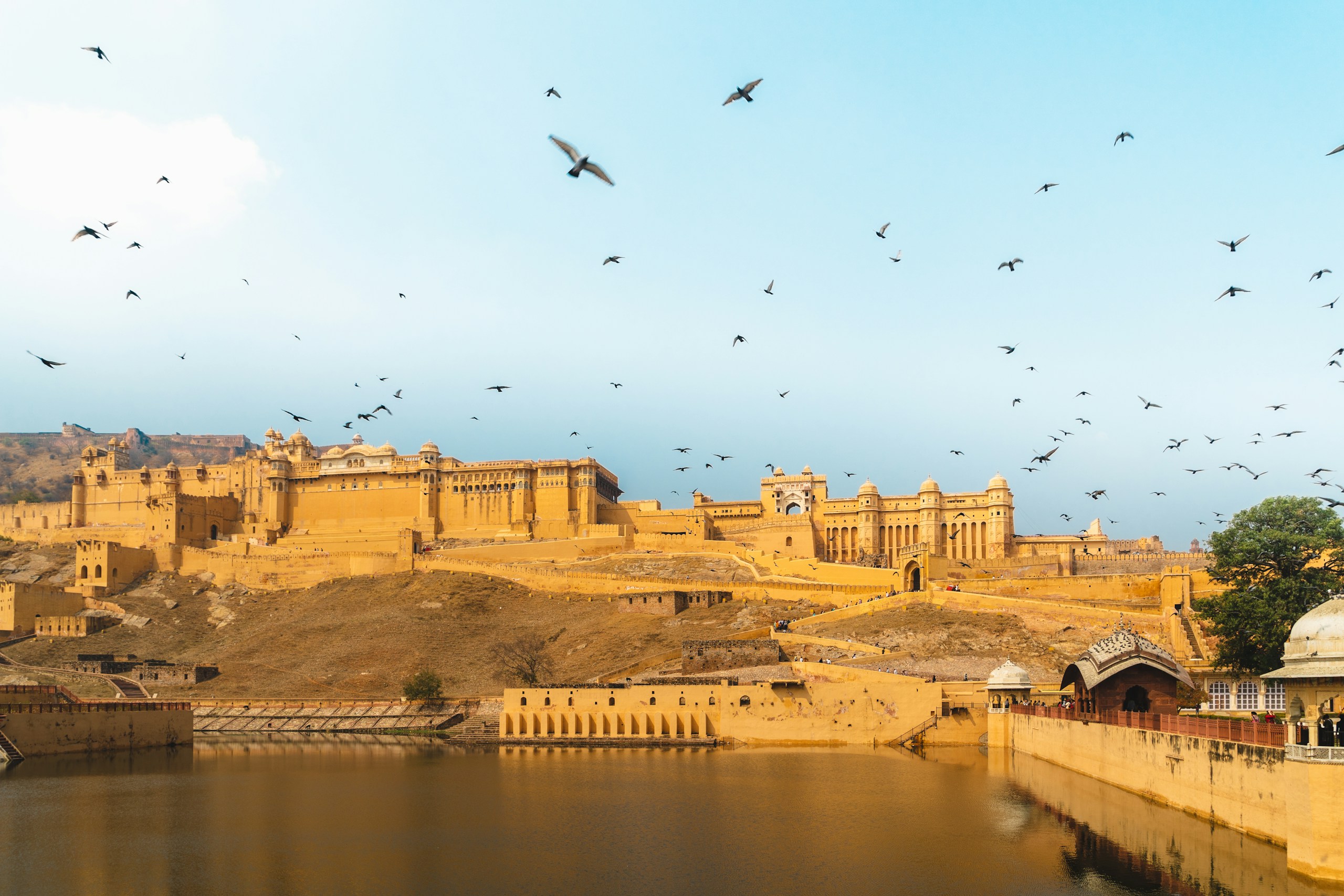 birds flying over river during daytime