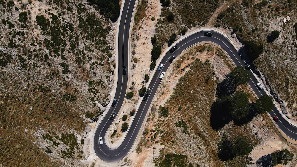 aerial view of road in the middle of green trees