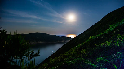 A serene night sky with a glowing full moon illuminating a peaceful landscape.