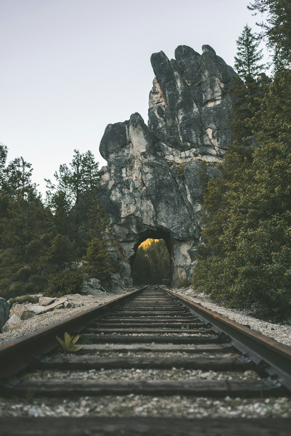 Braune Holzschiene in der Nähe des grauen Rocky Mountain tagsüber