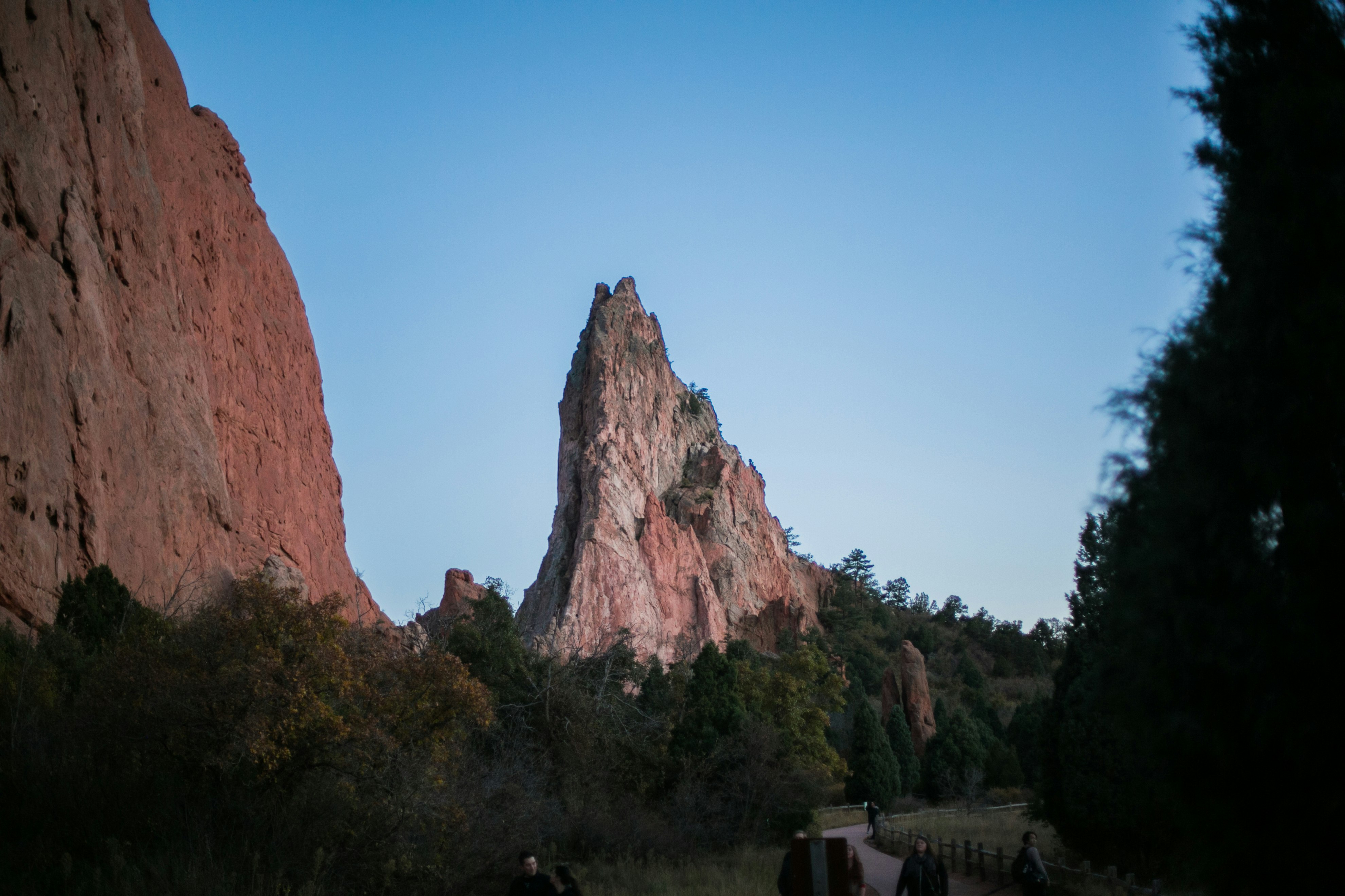 brown rock formation near green trees during daytime