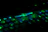 Close-up of a neon-lit keyboard with green and blue backlighting on a black desk.