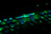 Close-up of a neon-lit keyboard with green and blue backlighting on a black desk.