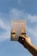 A hand is holding a book titled 'Conexões' against a clear blue sky. The cover features an image of two lighthouses reflected in water, illuminated in a warm, golden light.
