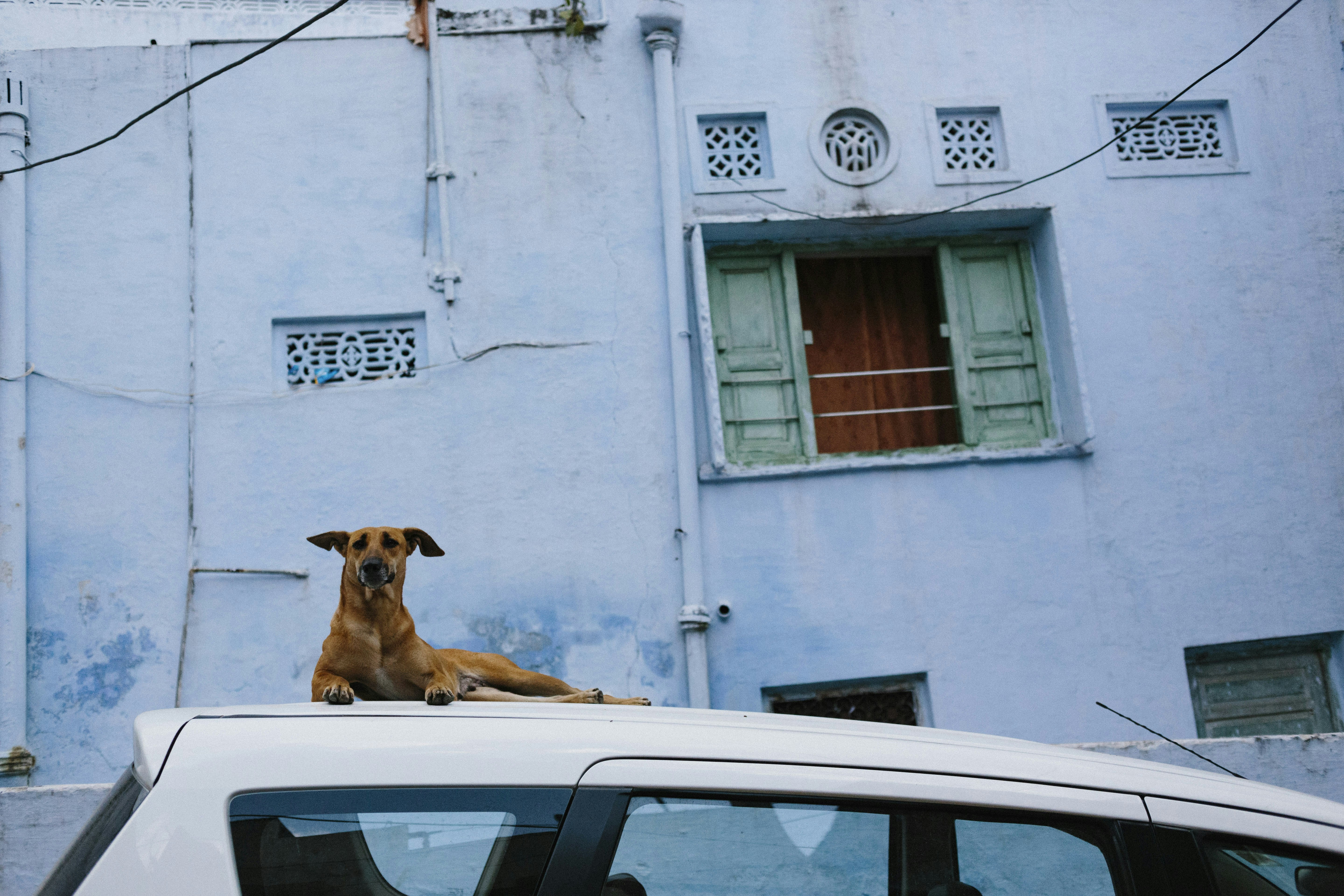 Photo by shy_photographer