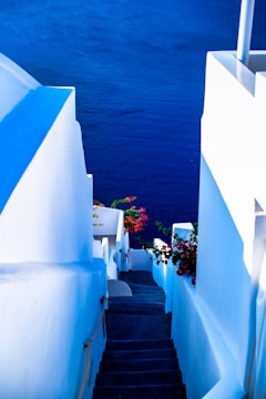 white concrete staircase near body of water during daytime