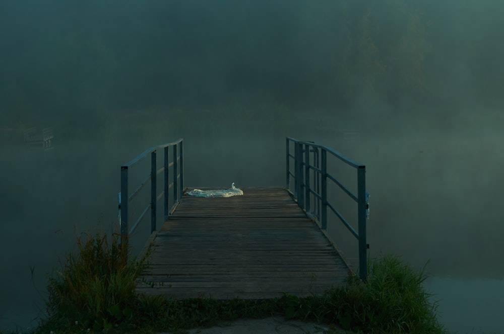 brown wooden dock on body of water