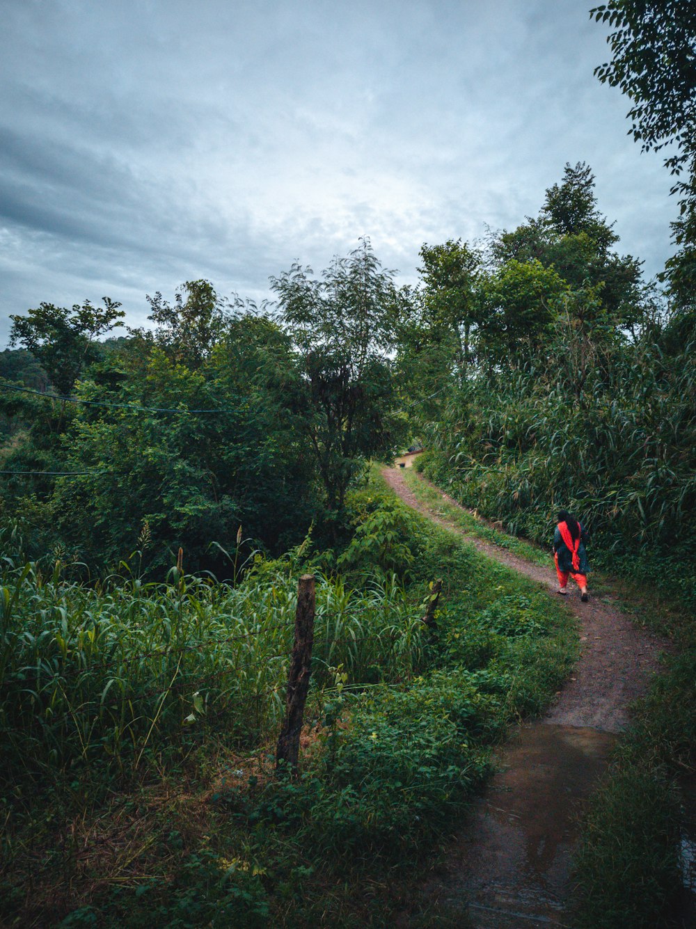 person in red shirt walking on dirt road between green trees during daytime