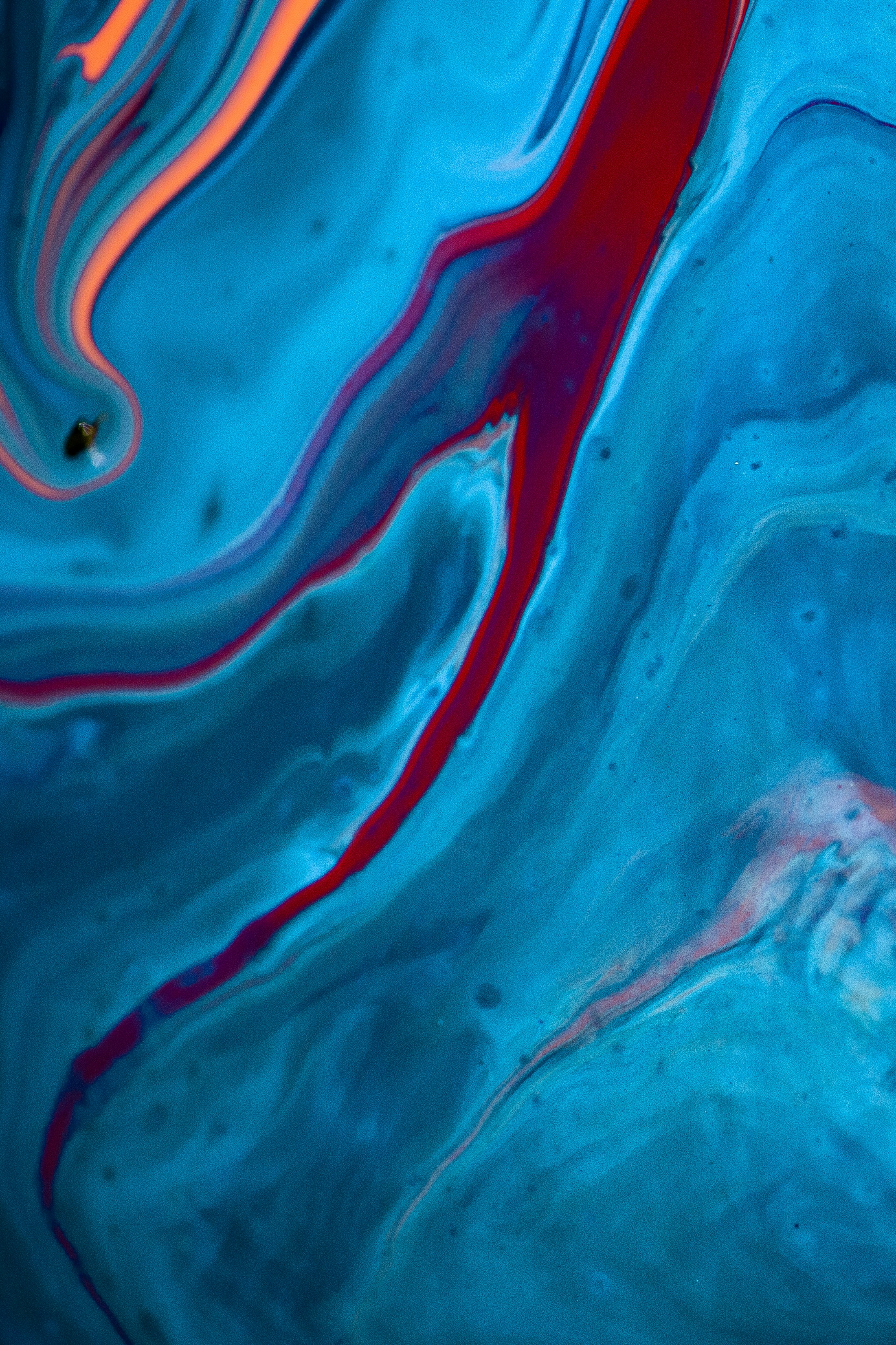 Photo by solenfeyissa