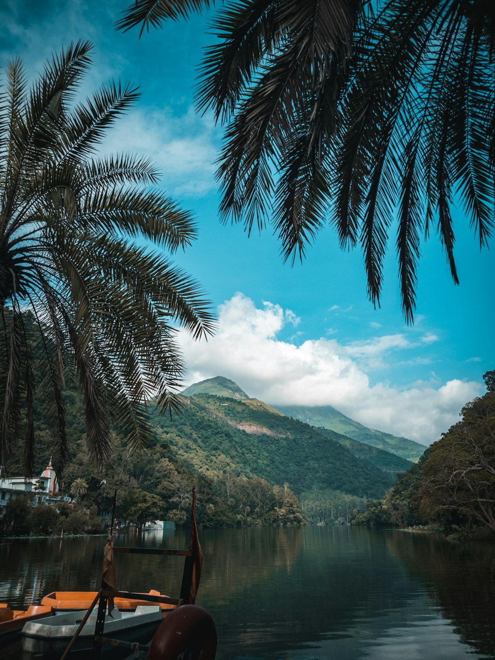 green trees near body of water under blue sky during daytime