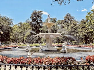 red flowers near white outdoor fountain during daytime