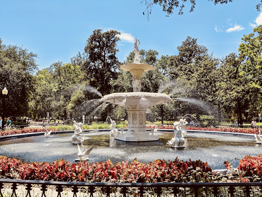 Flores rojas cerca de la fuente blanca al aire libre durante el día