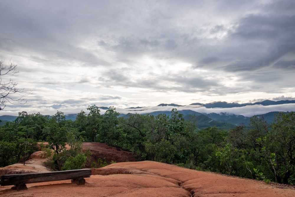 green trees on brown field under white clouds during daytime