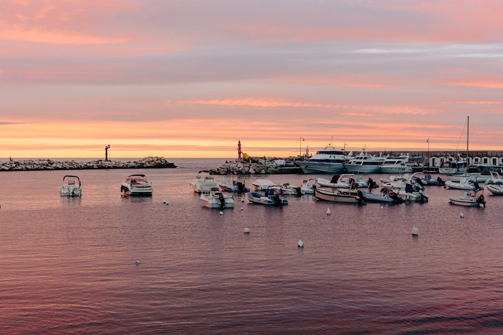 Bateaux blancs et noirs en mer pendant la journée