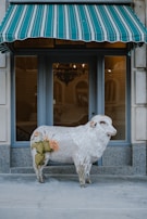 A decorative sculpture of a sheep with intricate patterns and designs adorns its body, including cacti and roses. It is positioned in front of a window with a green and white striped awning above. The background includes a building facade and a chandelier inside the window.